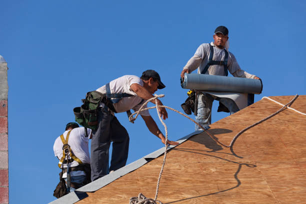 Best Roof Maintenance Services  in , WY